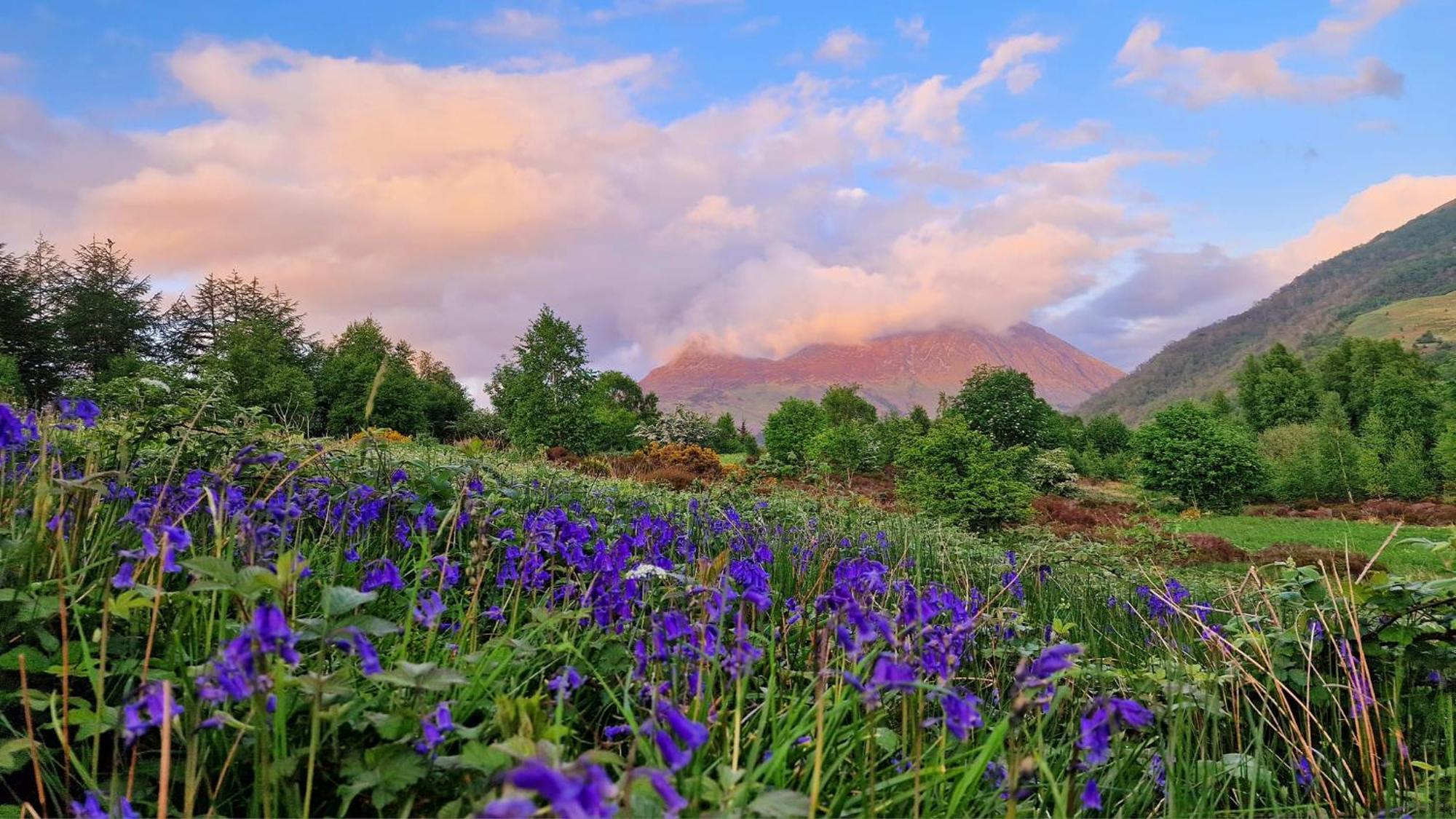 Bothan Creag Sobhrag Ballachulish Zewnętrze zdjęcie