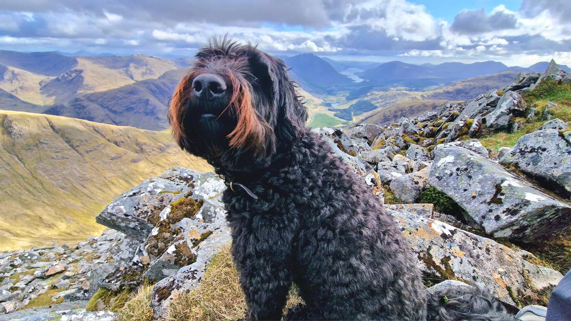 Bothan Creag Sobhrag Ballachulish Zewnętrze zdjęcie